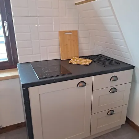 Apartament Stanislawa Zakopane Exterior foto