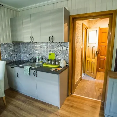 Apartament Stanislawa Zakopane Exterior foto
